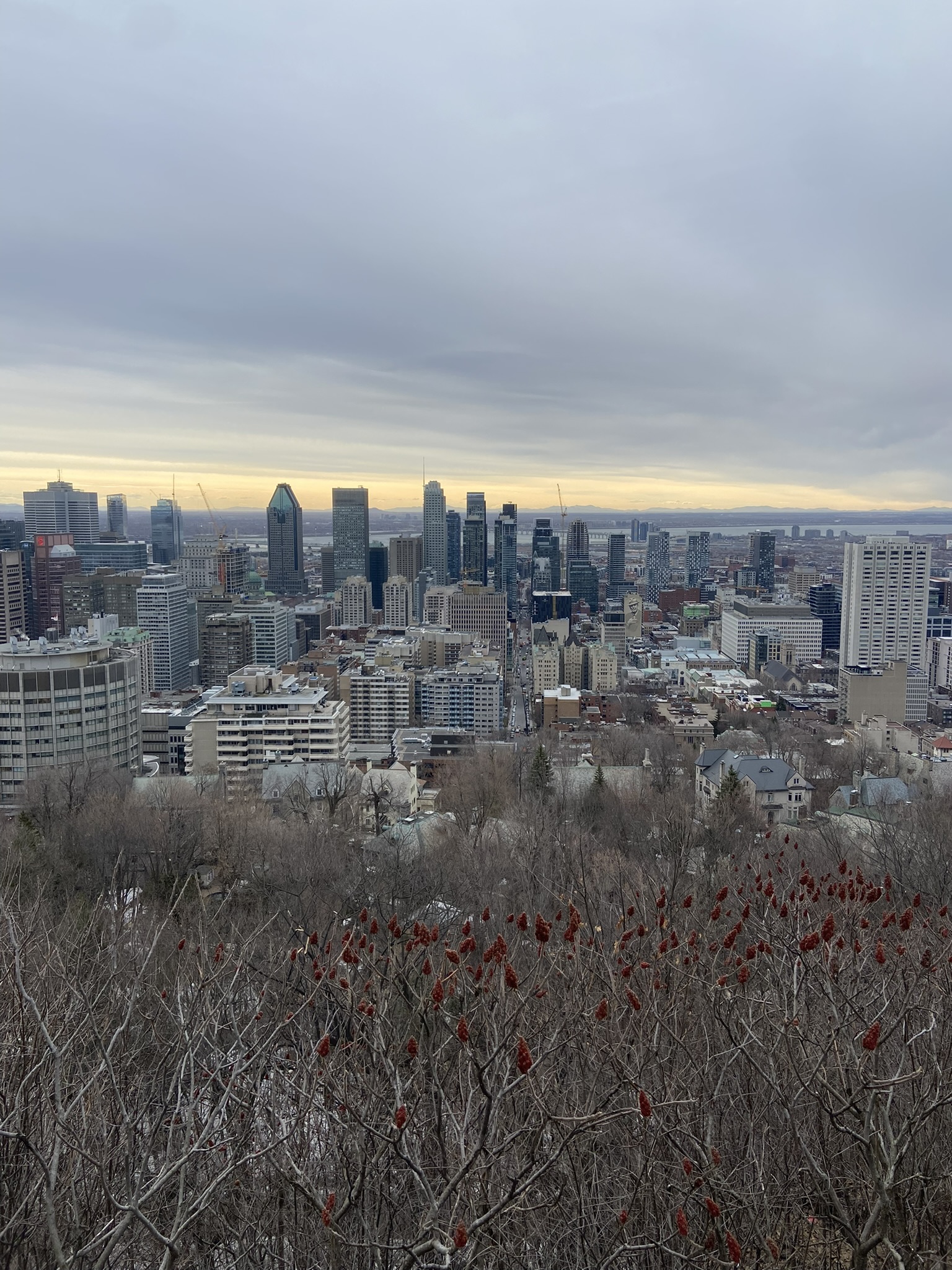 Montréal, skyline à l'aube